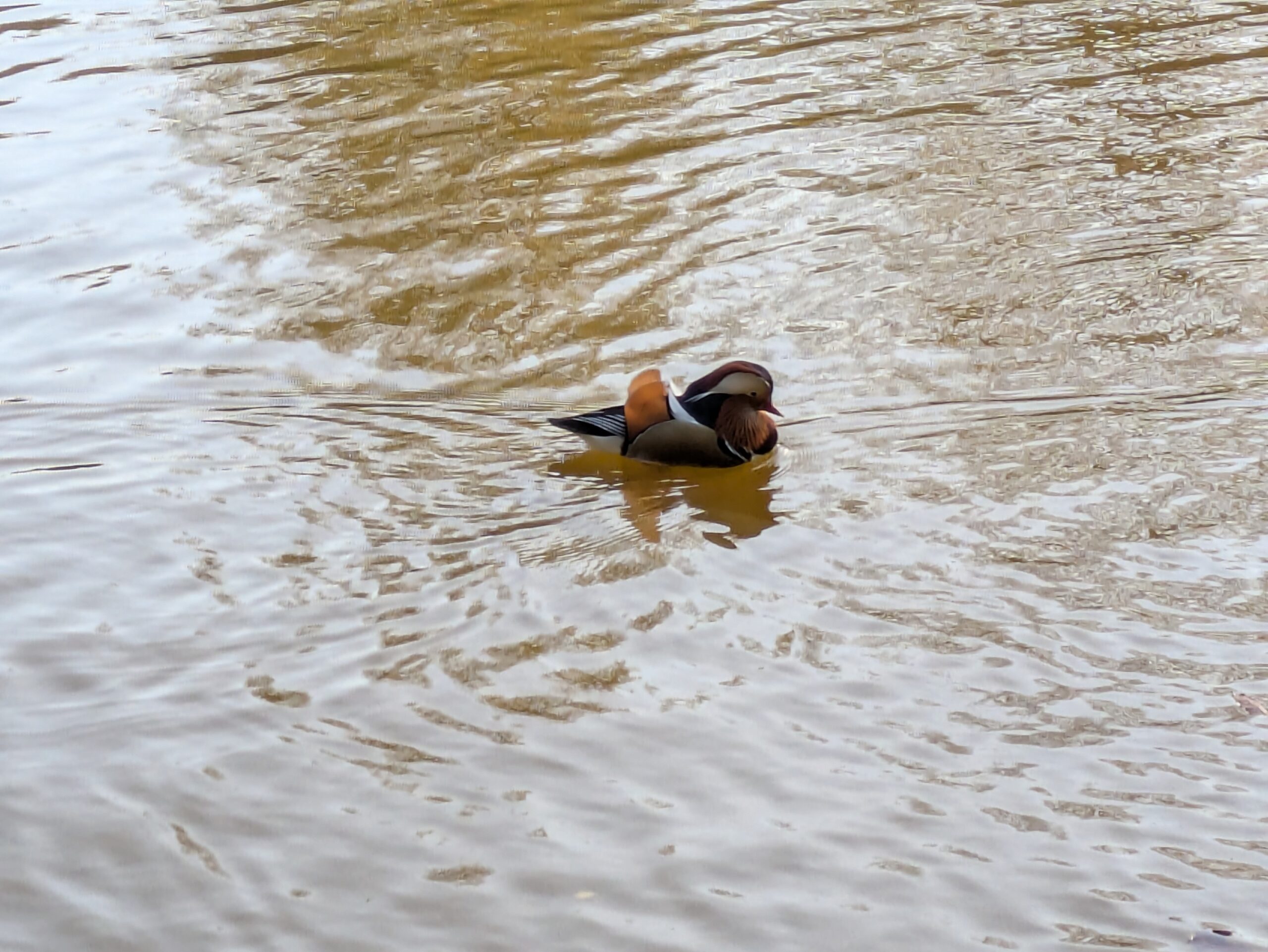 PXL_20241109_141115276