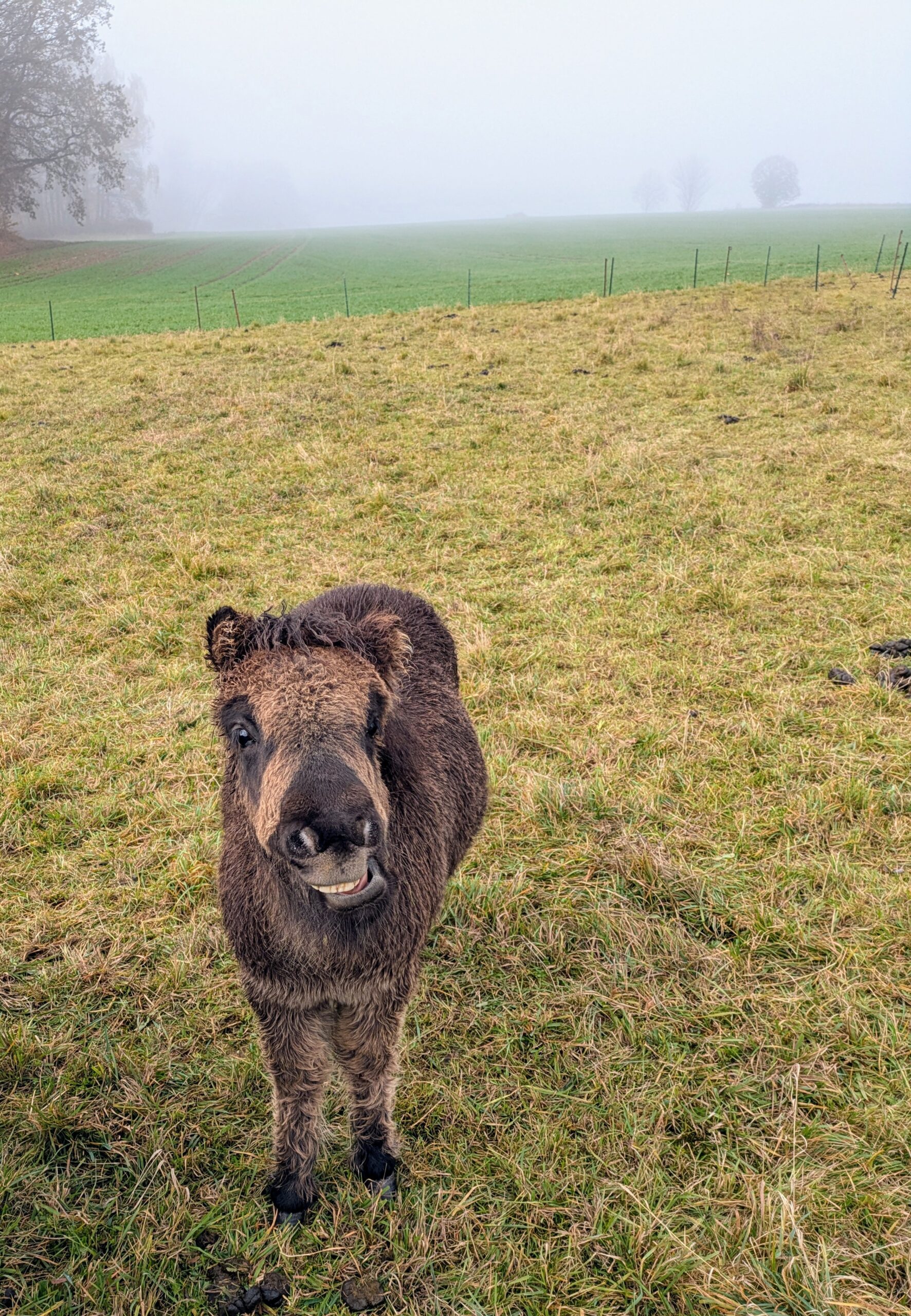 PXL_20241110_120151093~2