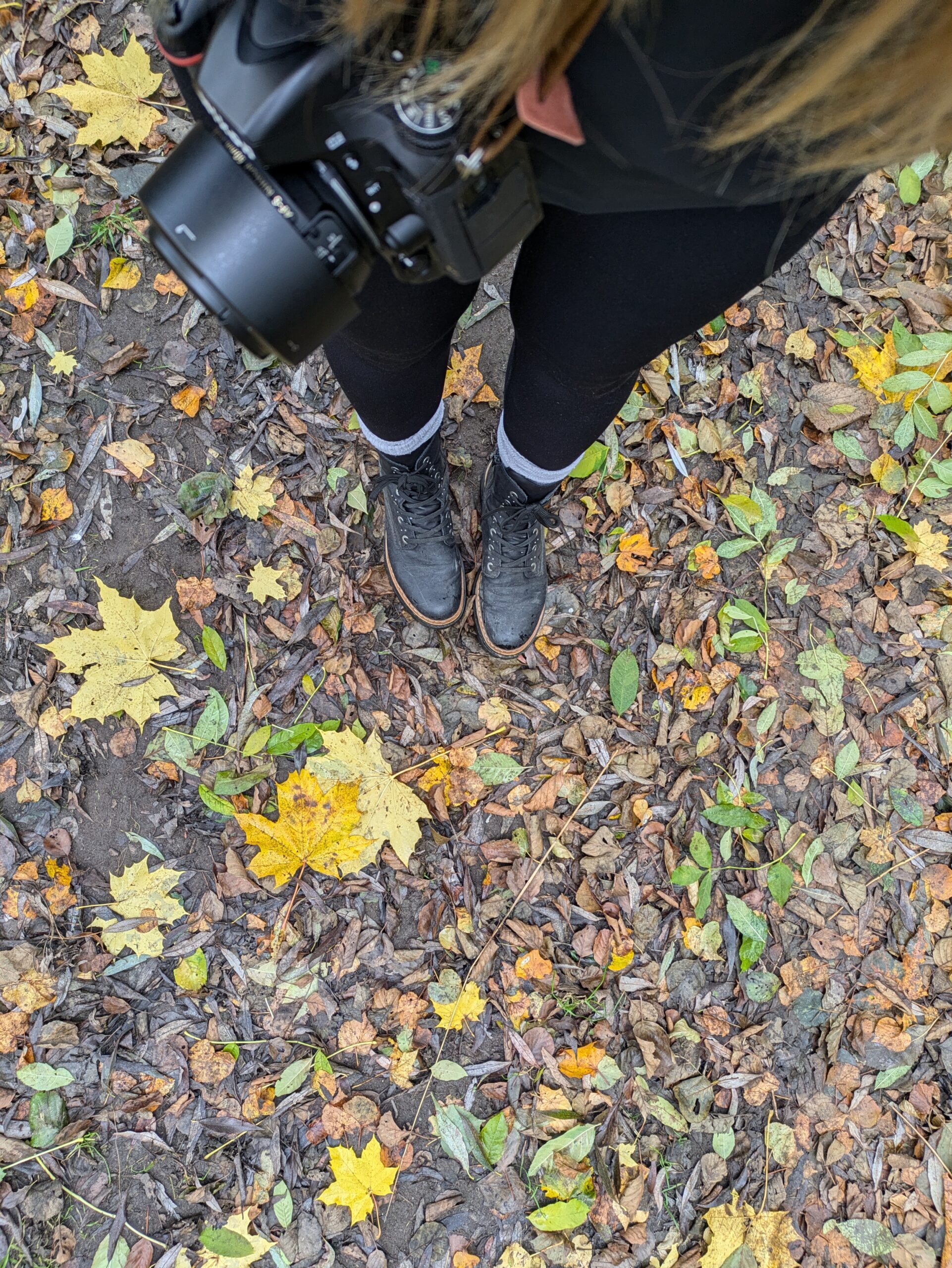 PXL_20241110_121124283