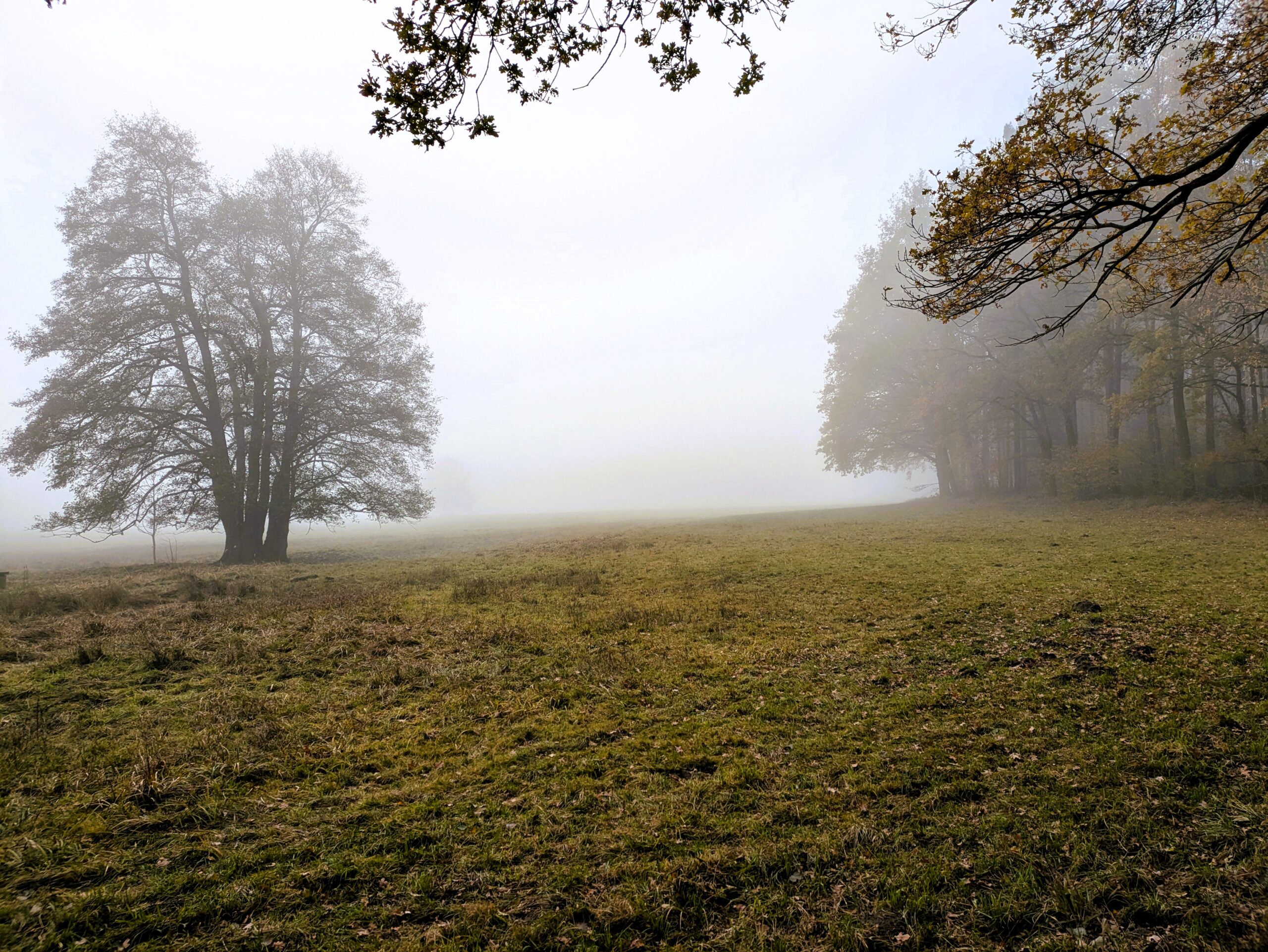 PXL_20241110_122111131