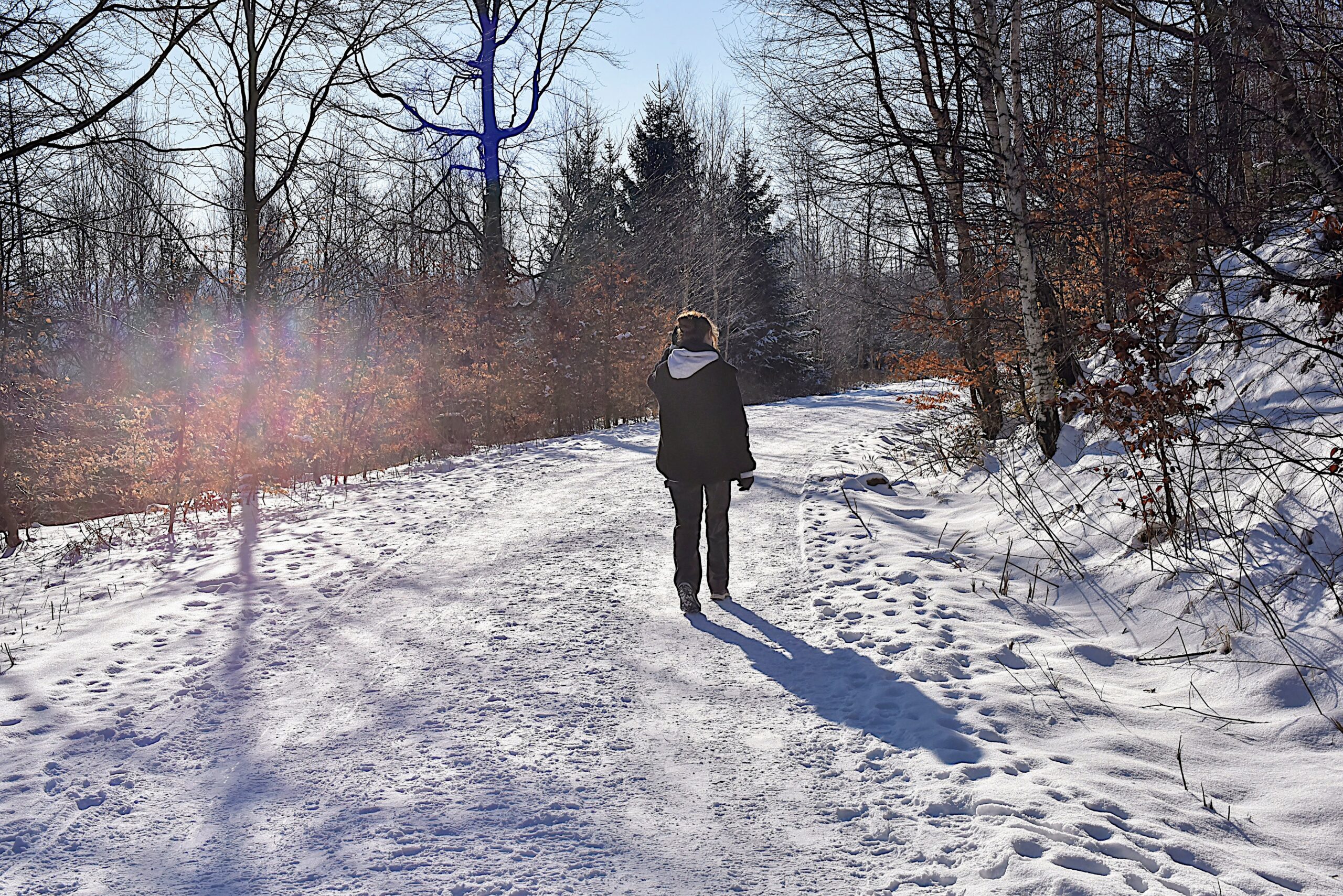Ein Tag im Harz – Wandern, Schnee und tierische Begegnungen