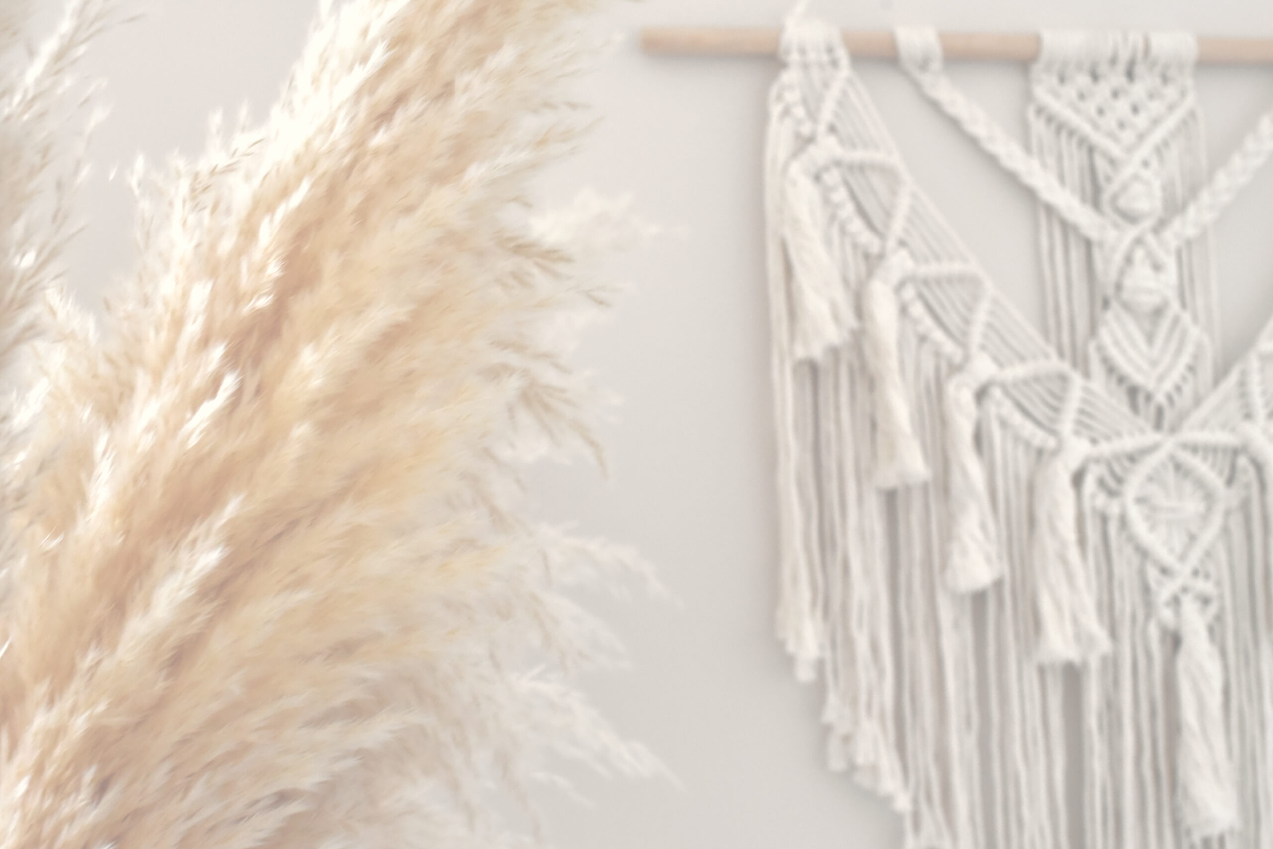 Ein Herzensprojekt nimmt Form an